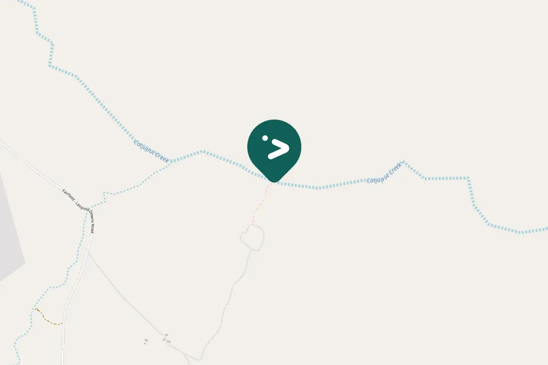 Spotted Rainbow Bee-eater