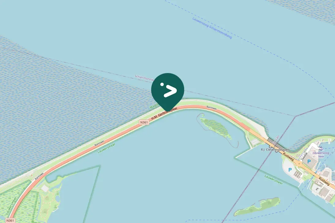 Spotted European Herring Gull