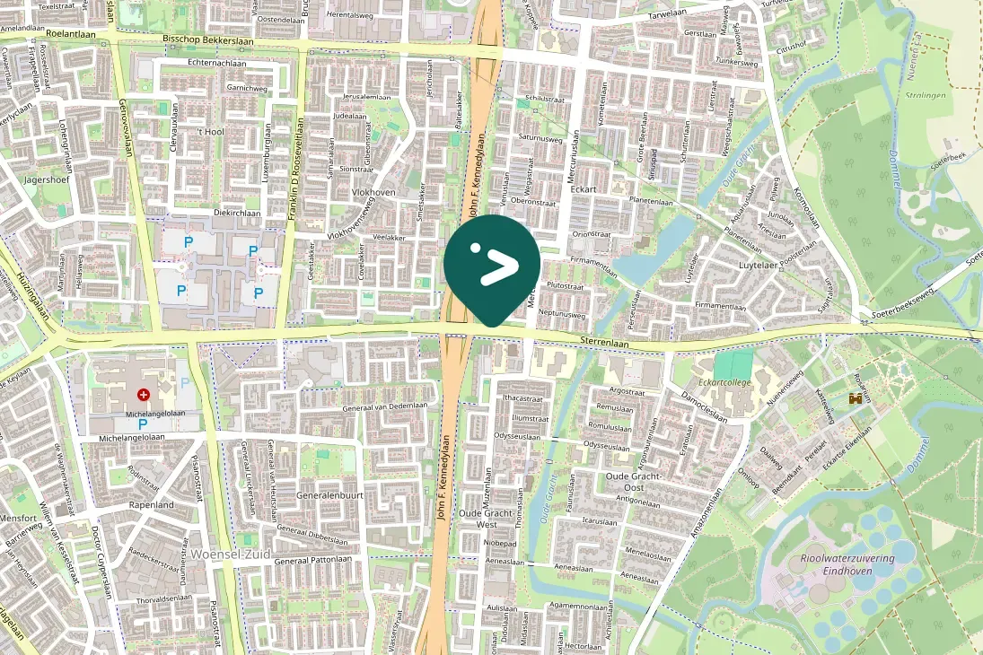 Spotted Eurasian Magpie