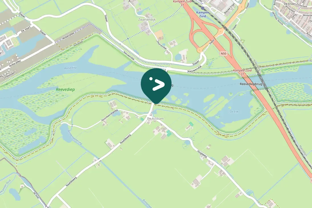 Spotted Northern Lapwing