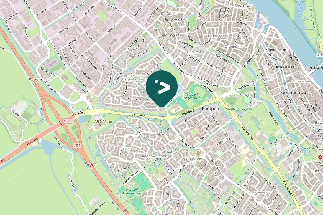 Spotted Ring-necked Duck