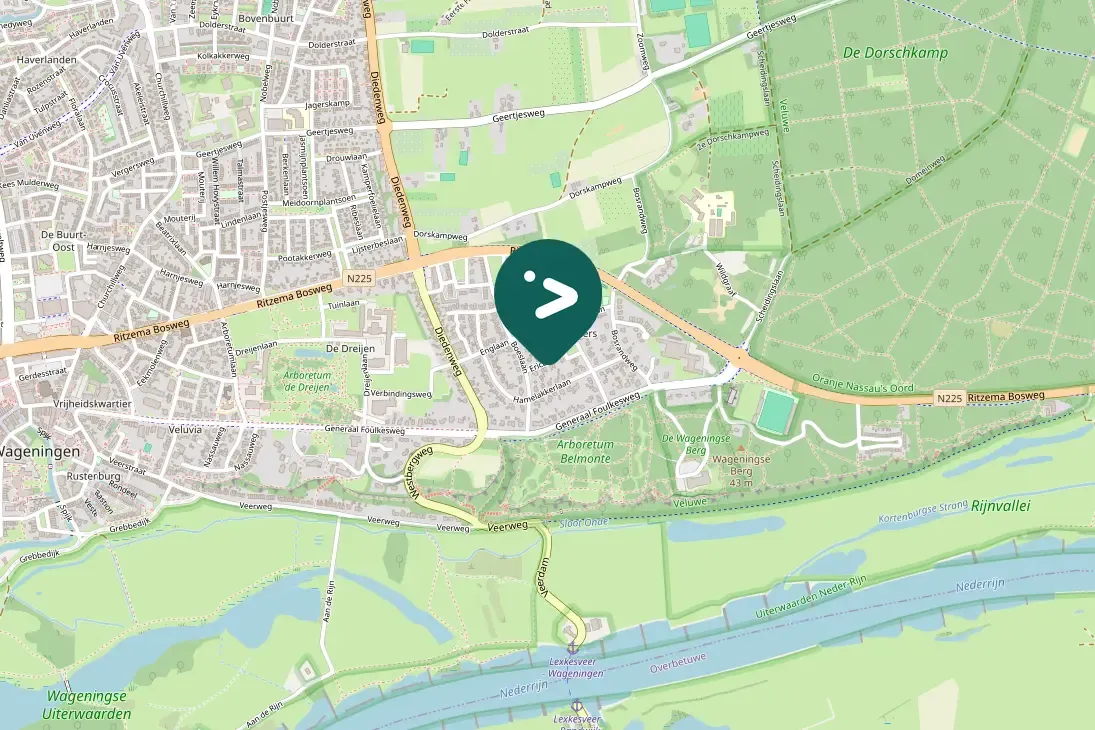 Spotted Long-eared Owl