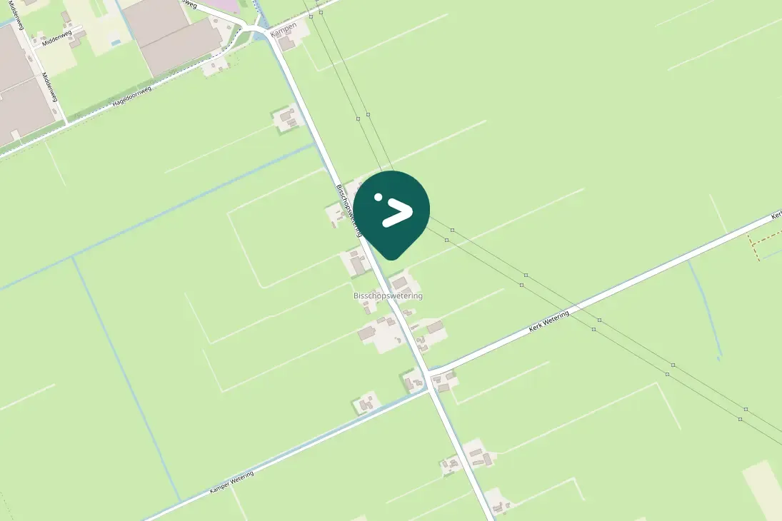 Spotted White-tailed Eagle