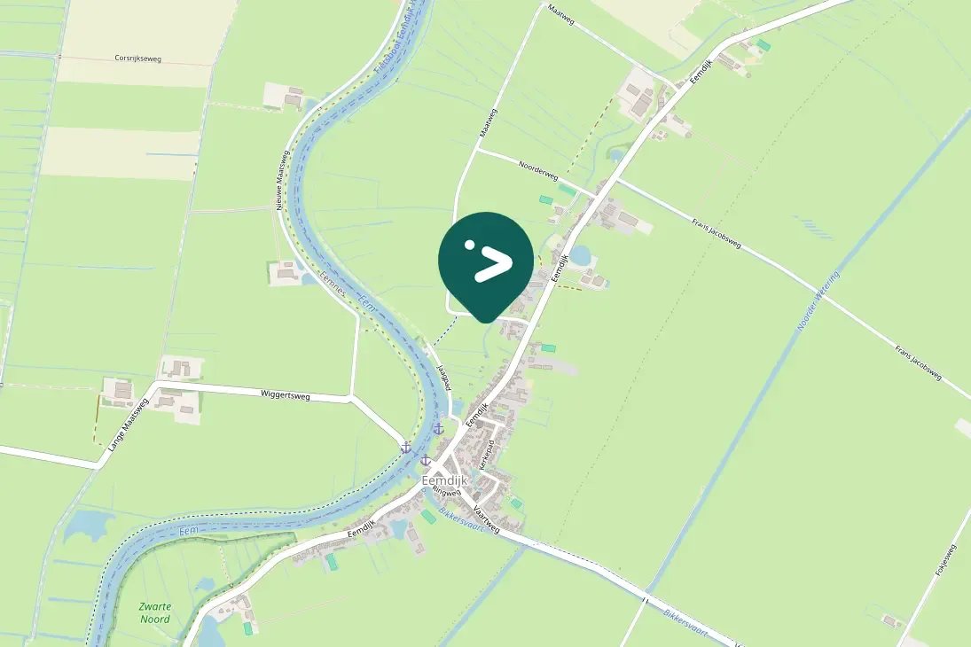 Spotted Short-eared Owl