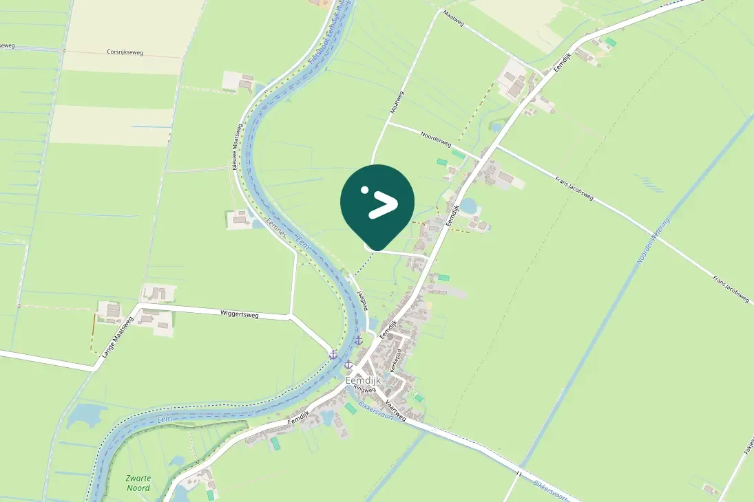 Spotted Short-eared Owl