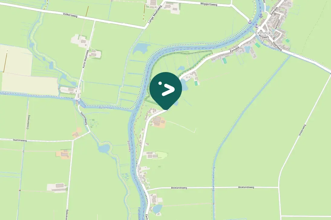 Spotted Eurasian Wigeon