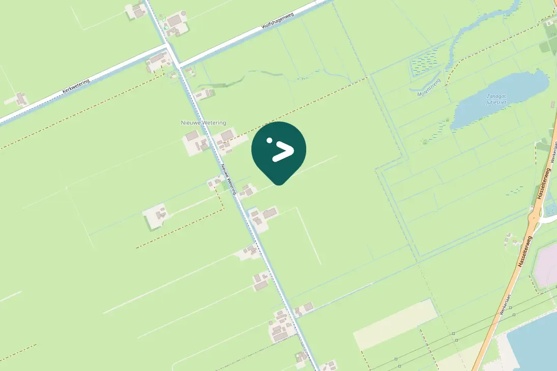 Spotted Barnacle Goose