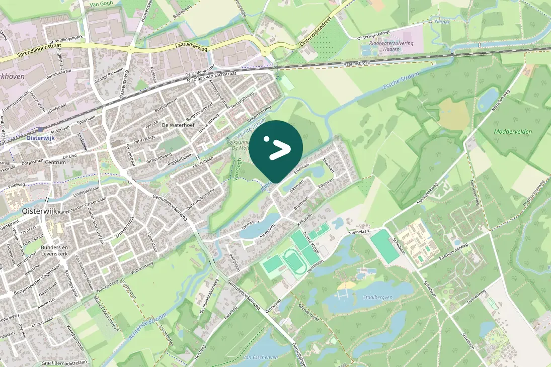 Spotted Great Spotted Woodpecker