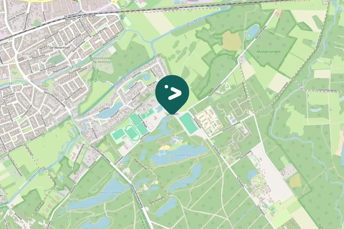 Spotted Little Grebe