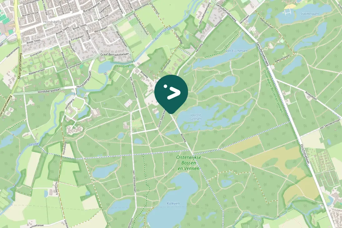 Spotted Eurasian Nuthatch