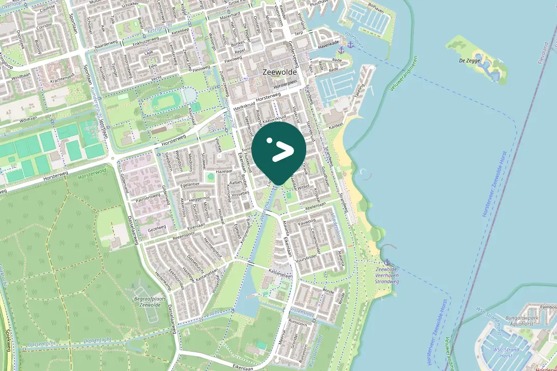 Spotted Common Merganser