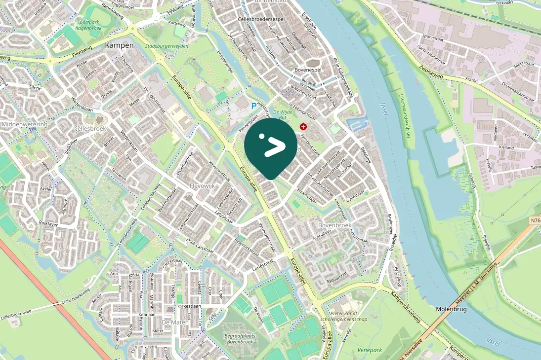 Spotted Eurasian Collared-Dove