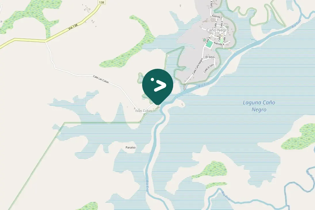 Spotted Boat-billed Heron