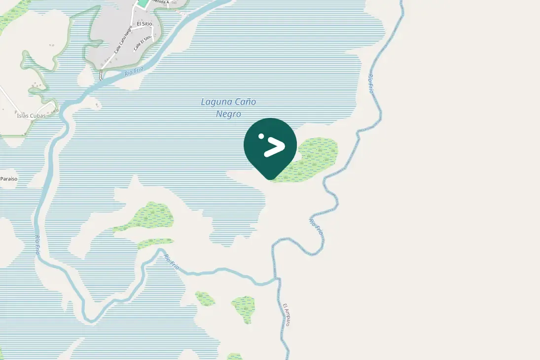 Spotted Streak-headed Woodcreeper