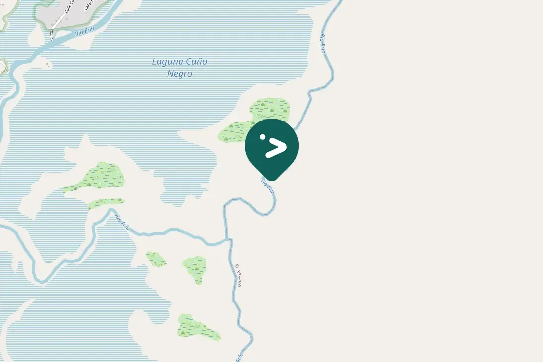 Spotted Gray-headed Kite