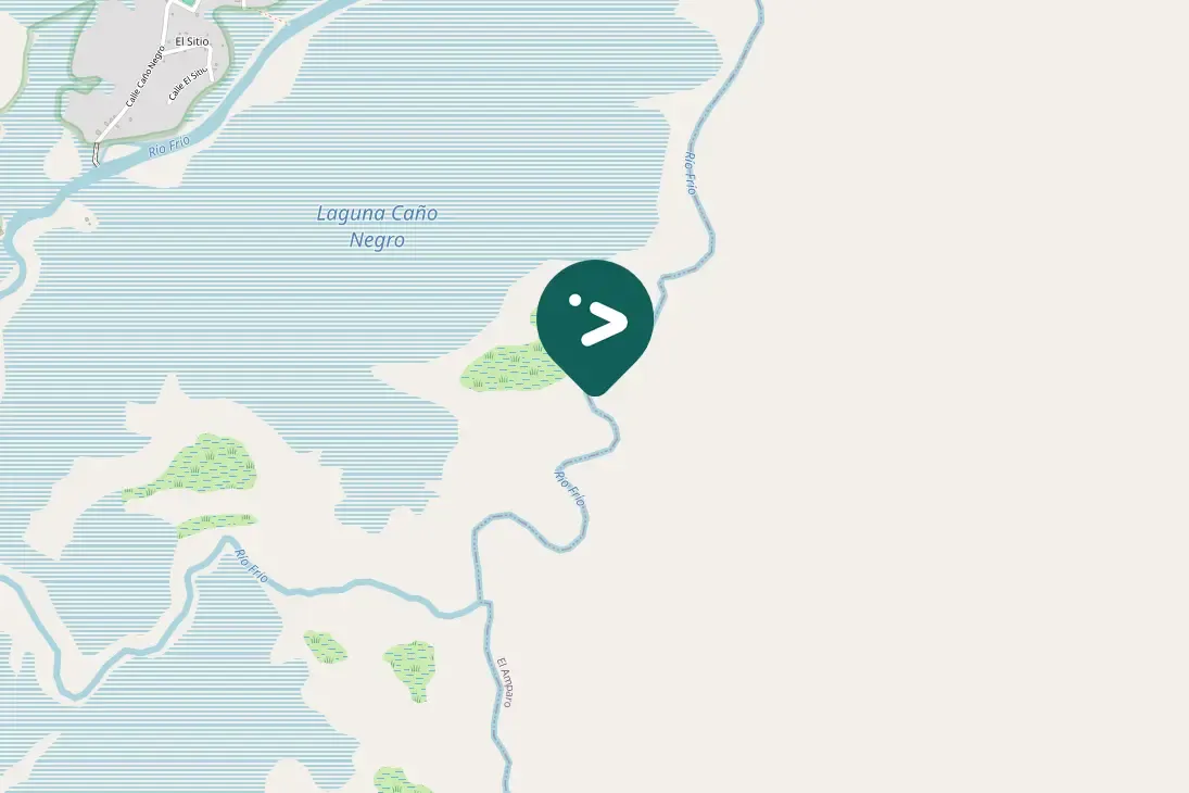 Spotted Little Cuckoo