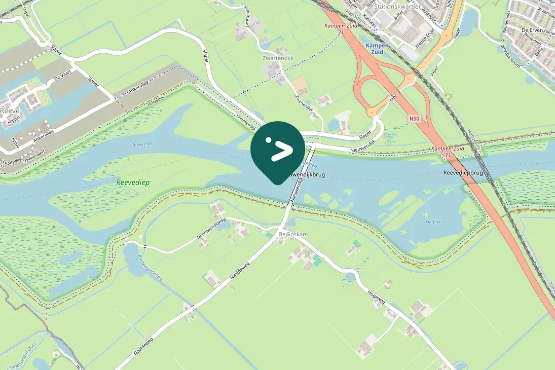 Spotted Eurasian Oystercatcher