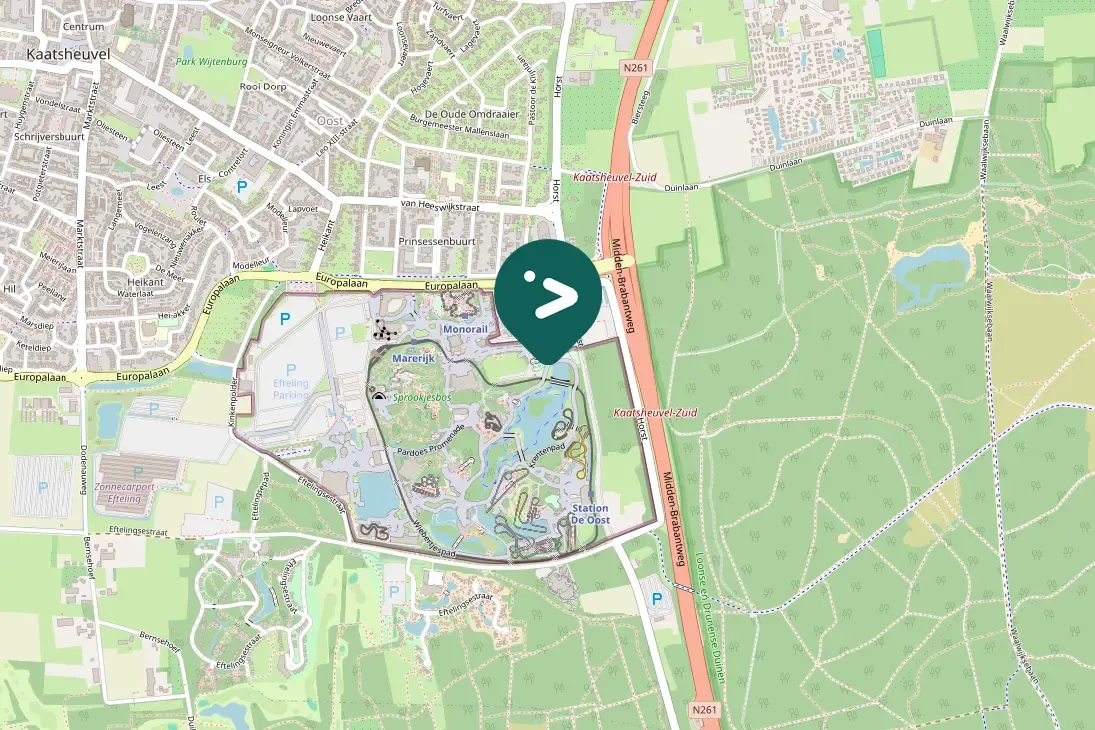 Spotted Eurasian Oystercatcher