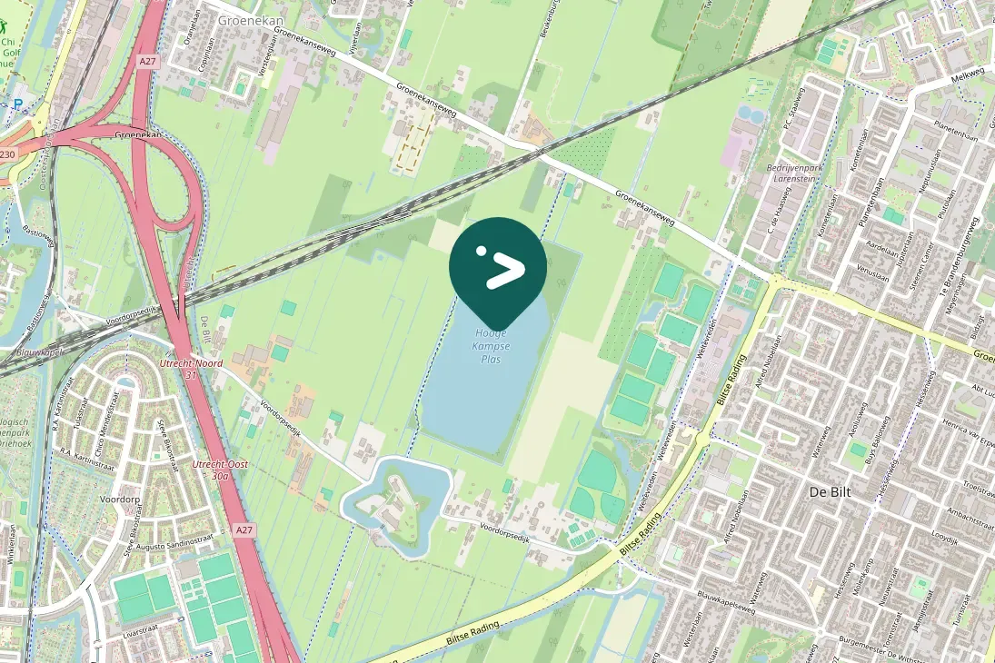 Spotted Common Pochard