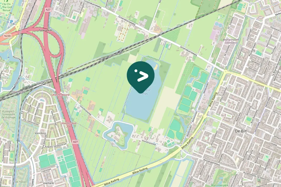 Spotted Eurasian Blackbird