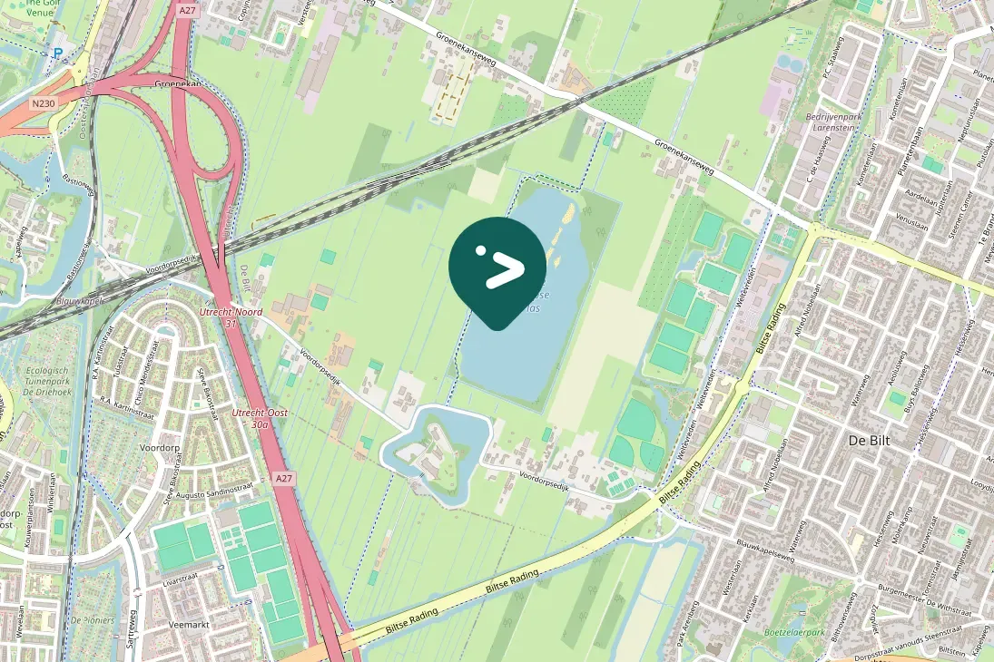 Spotted Common Shelduck