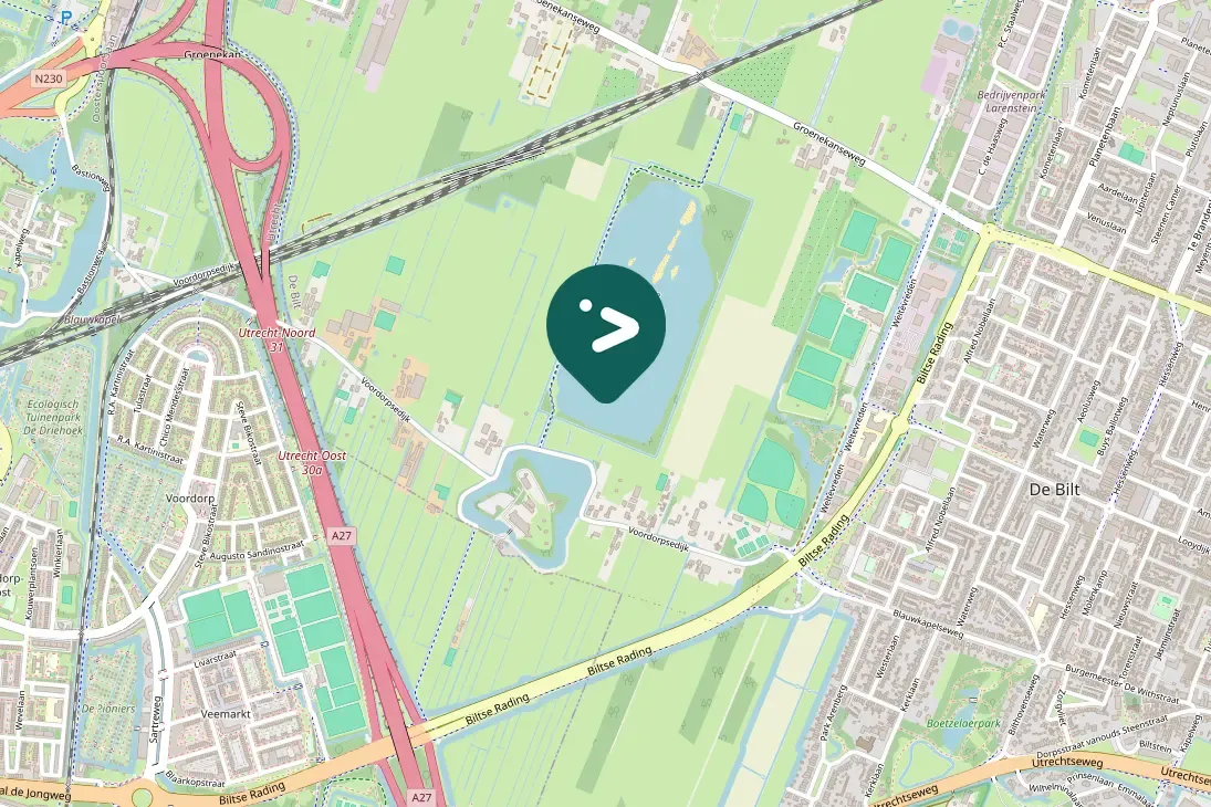 Spotted Lesser Black-backed Gull