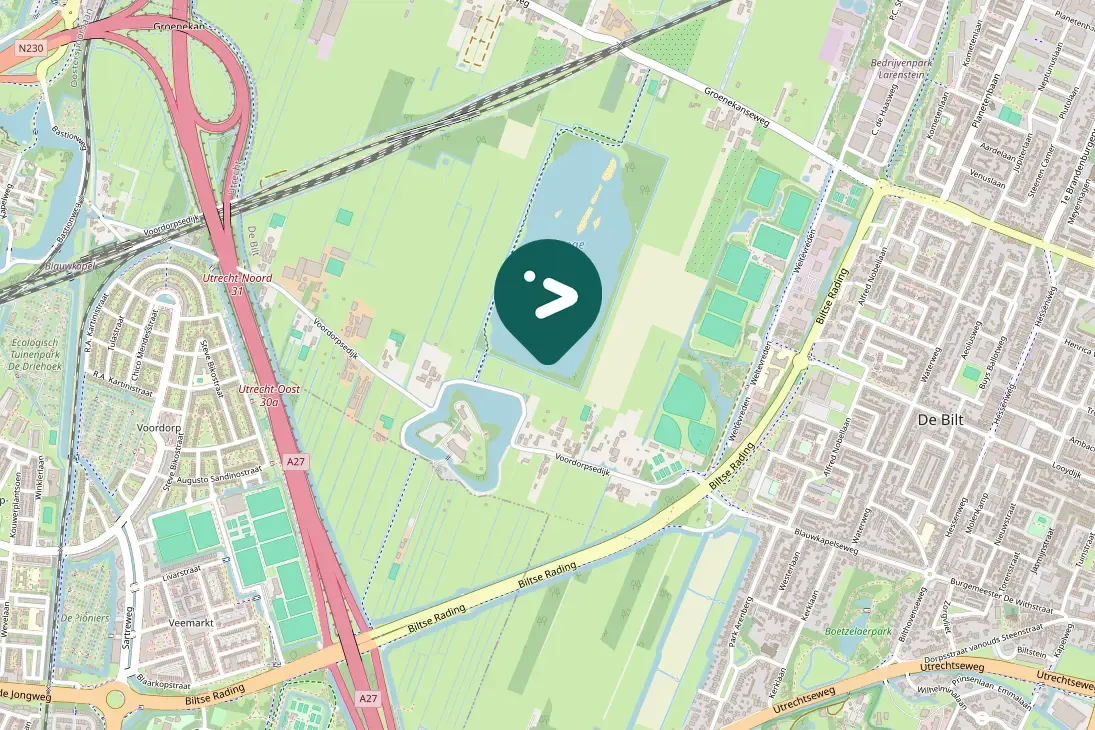 Spotted Northern Shoveler