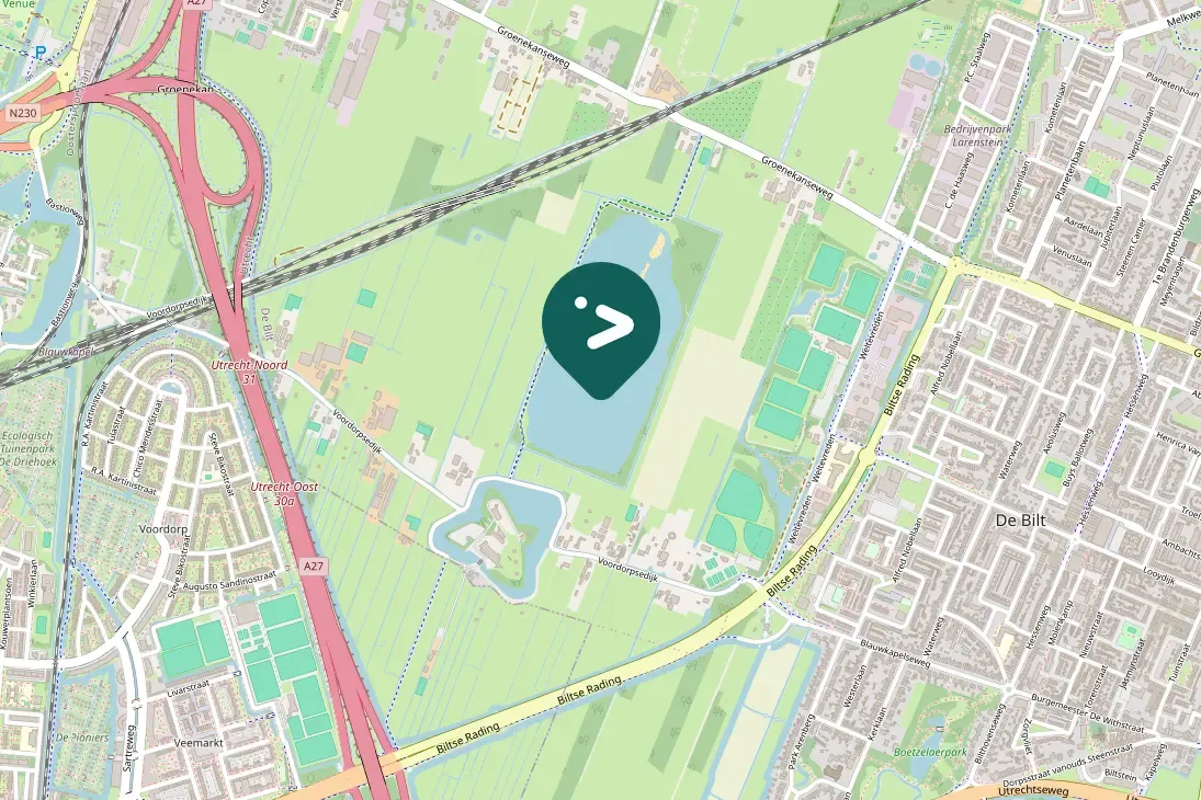 Spotted Green-winged Teal