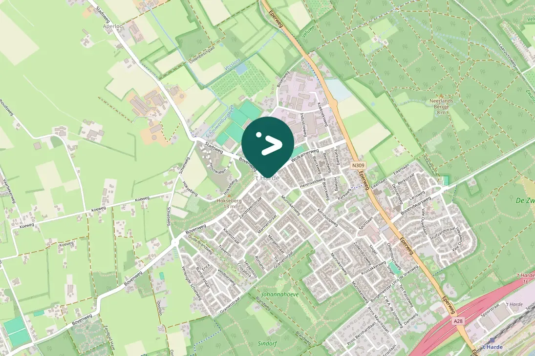 Spotted Great Spotted Woodpecker