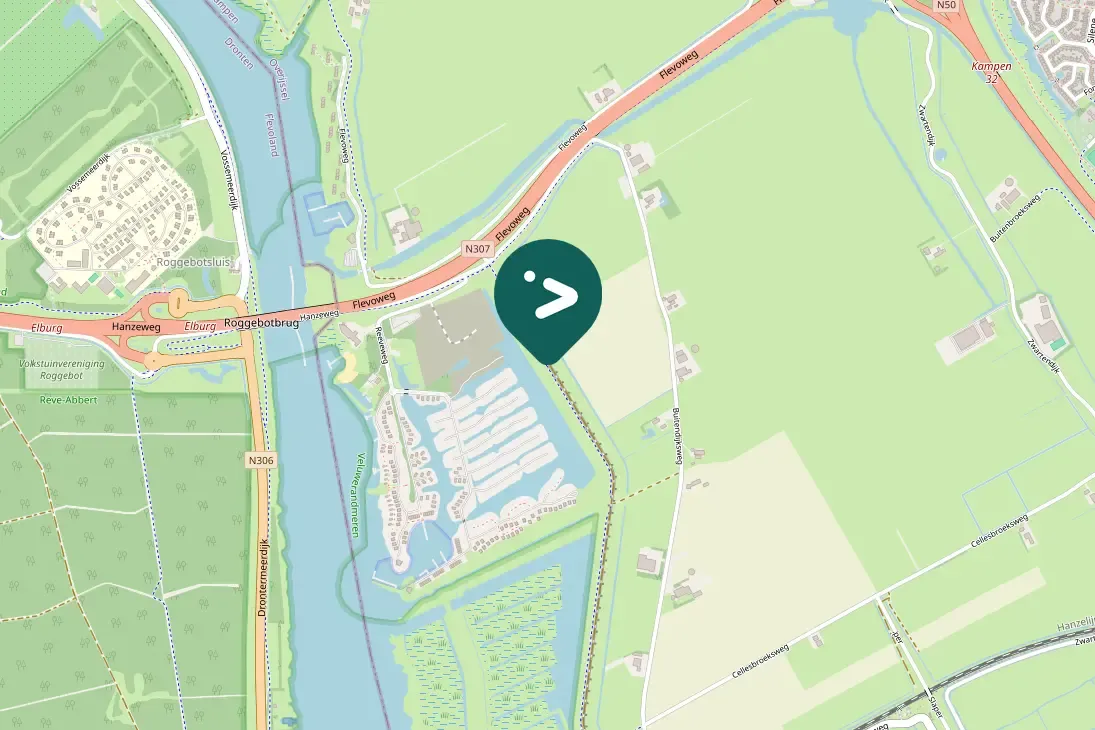 Spotted Little Grebe