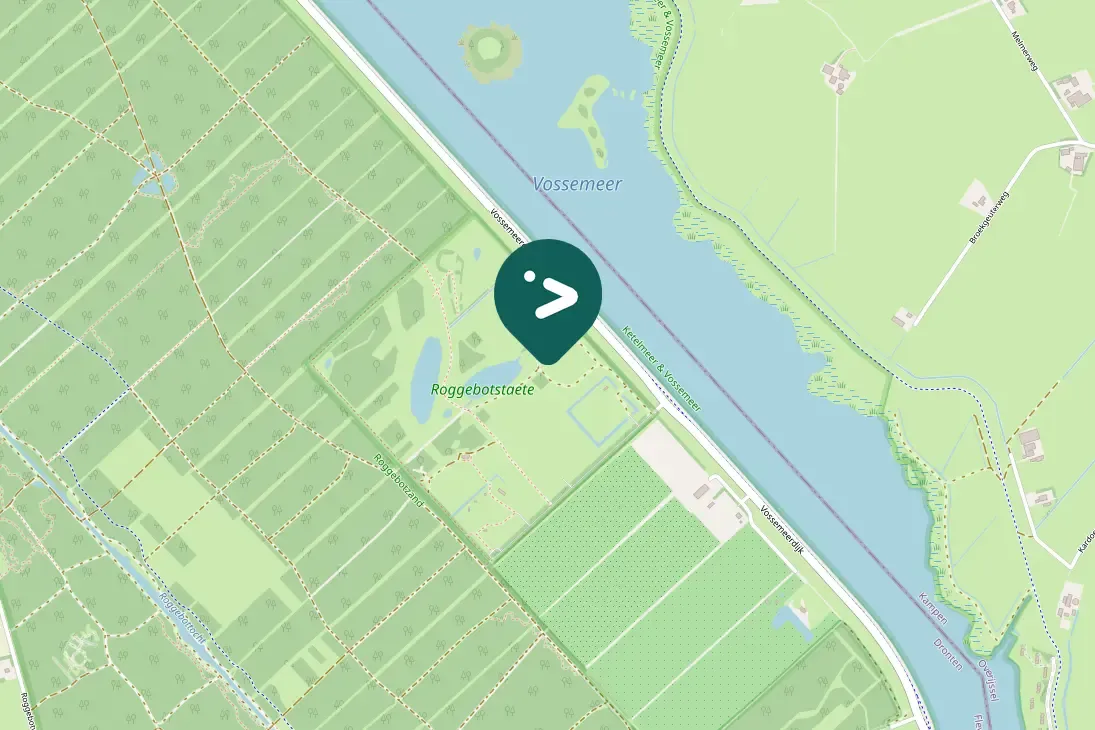 Spotted Common Buzzard