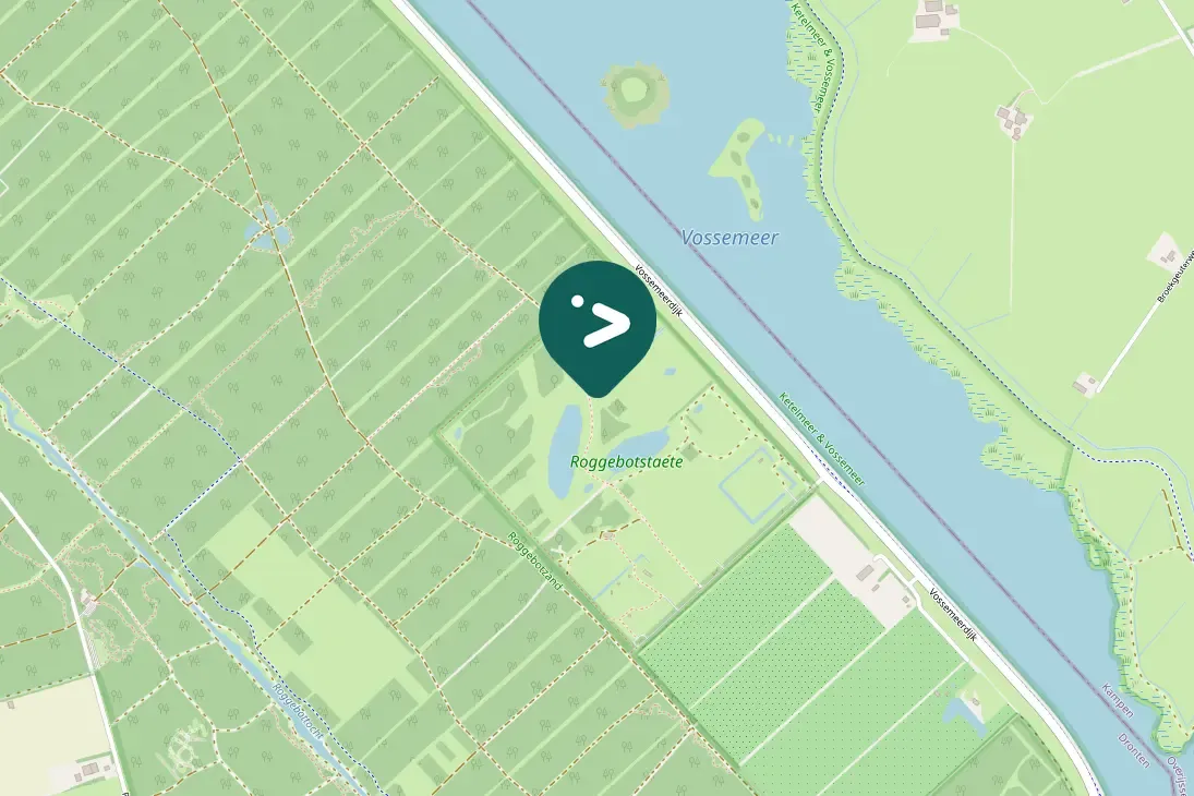 Spotted Eurasian Blue Tit