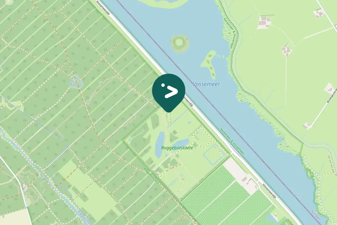 Spotted Great Spotted Woodpecker