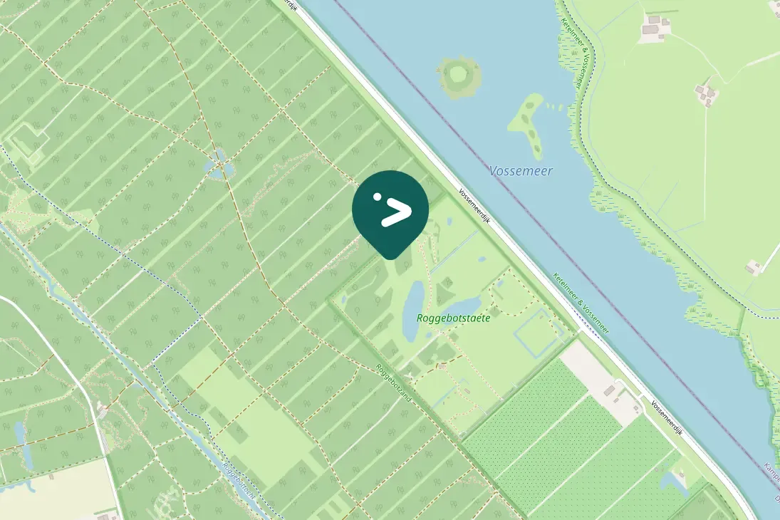 Spotted European Robin