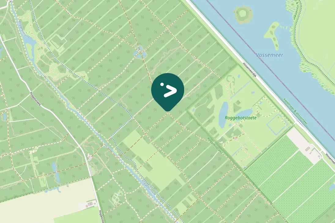 Spotted Eurasian Woodcock