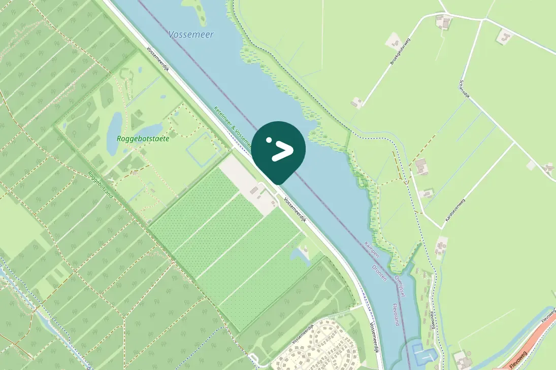 Spotted Common Merganser