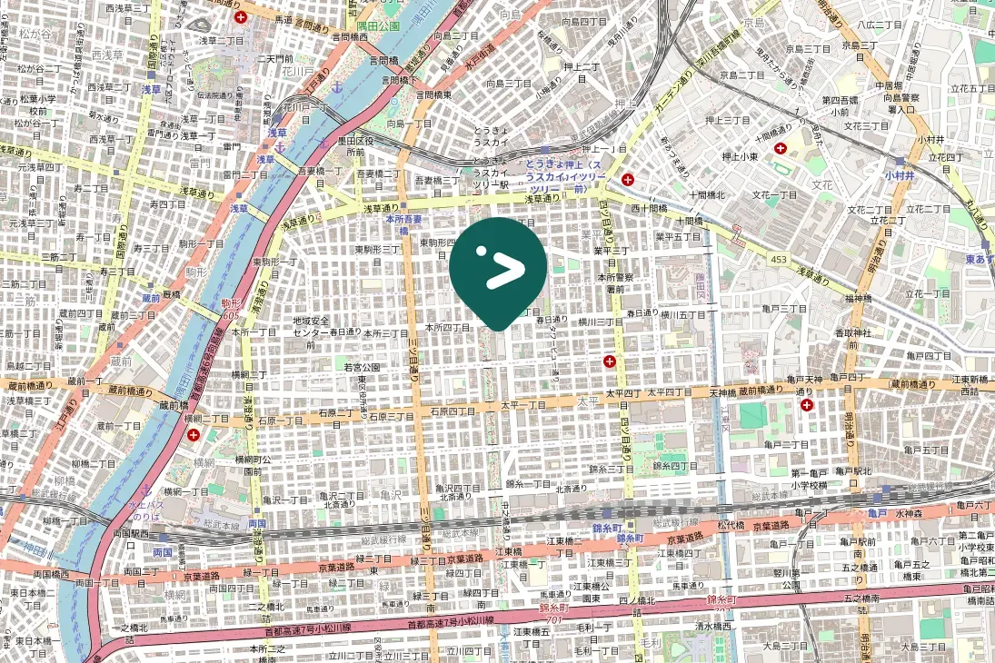 Spotted Eastern Spot-billed Duck