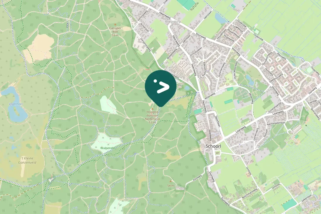 Spotted Common Cuckoo