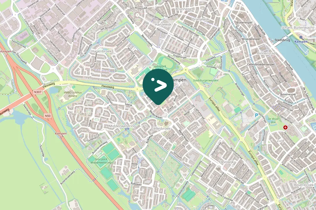 Spotted Long-eared Owl