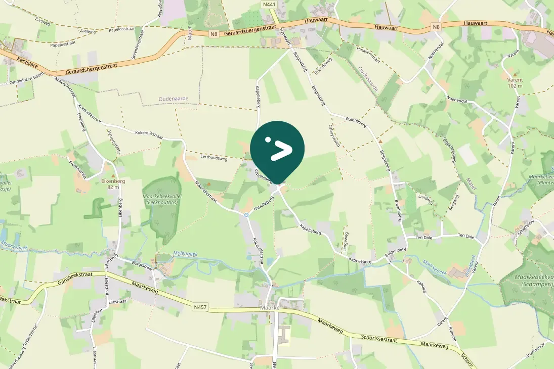 Spotted Western Barn Owl