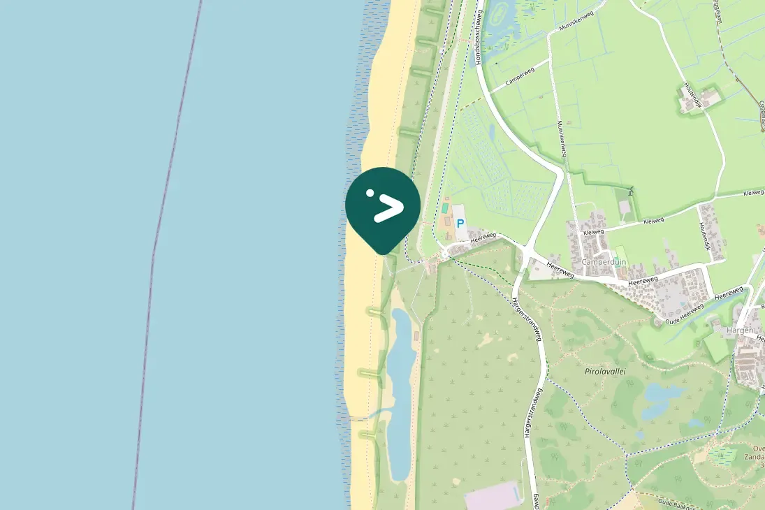 Gespotte Zwarte kraai