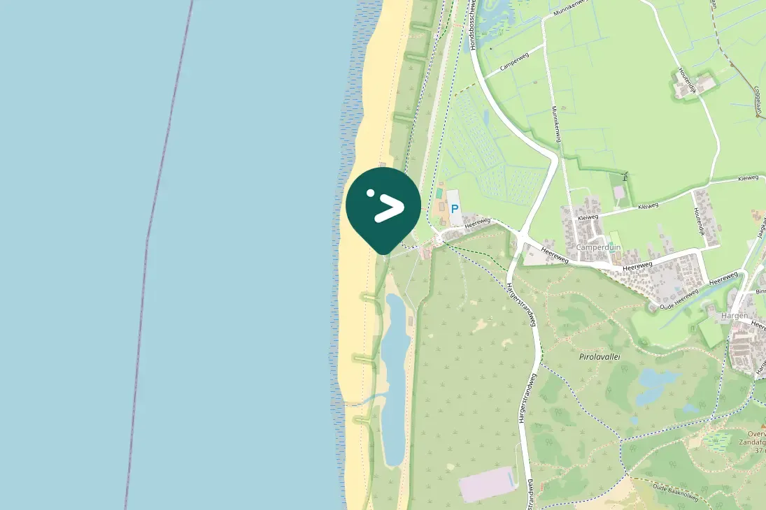 Gespotte Zilvermeeuw