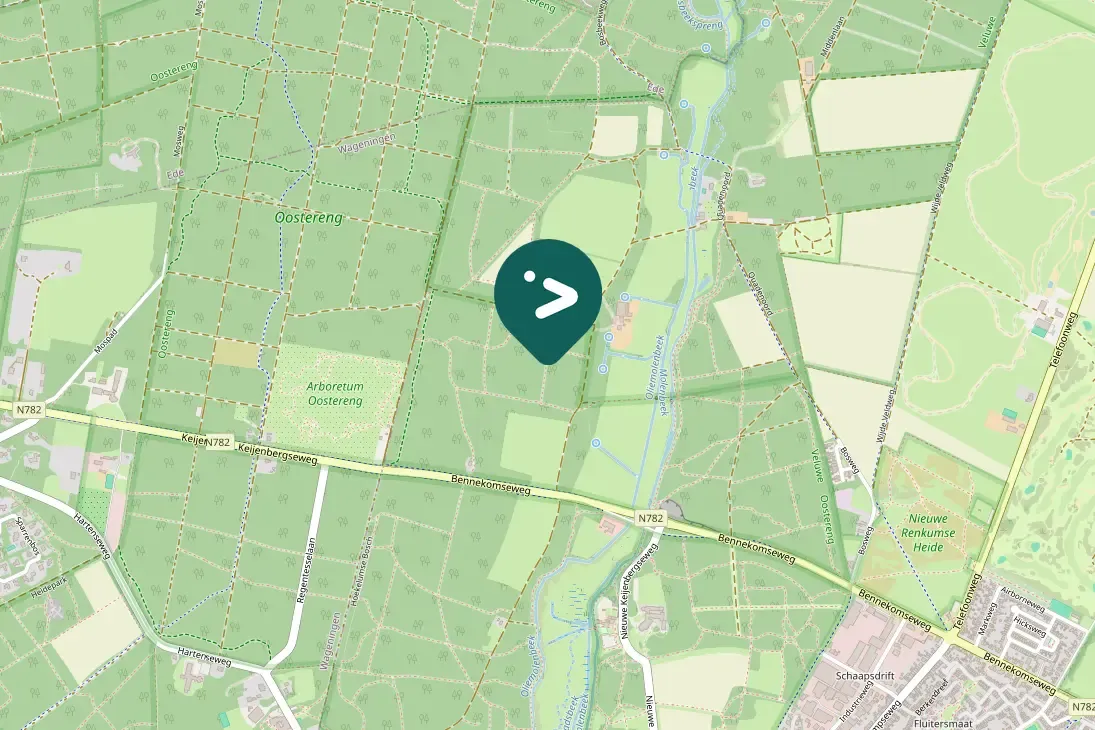 Spotted Eurasian Bullfinch