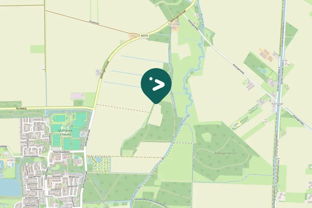 Spotted Middle Spotted Woodpecker