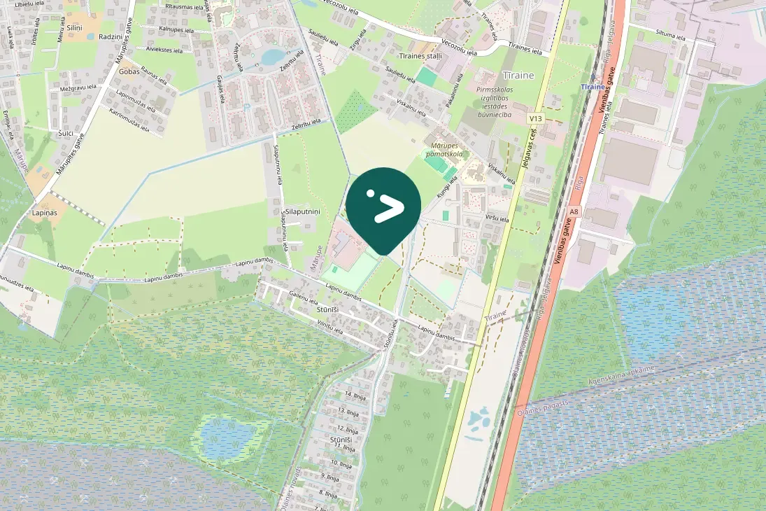 Spotted American Black Duck