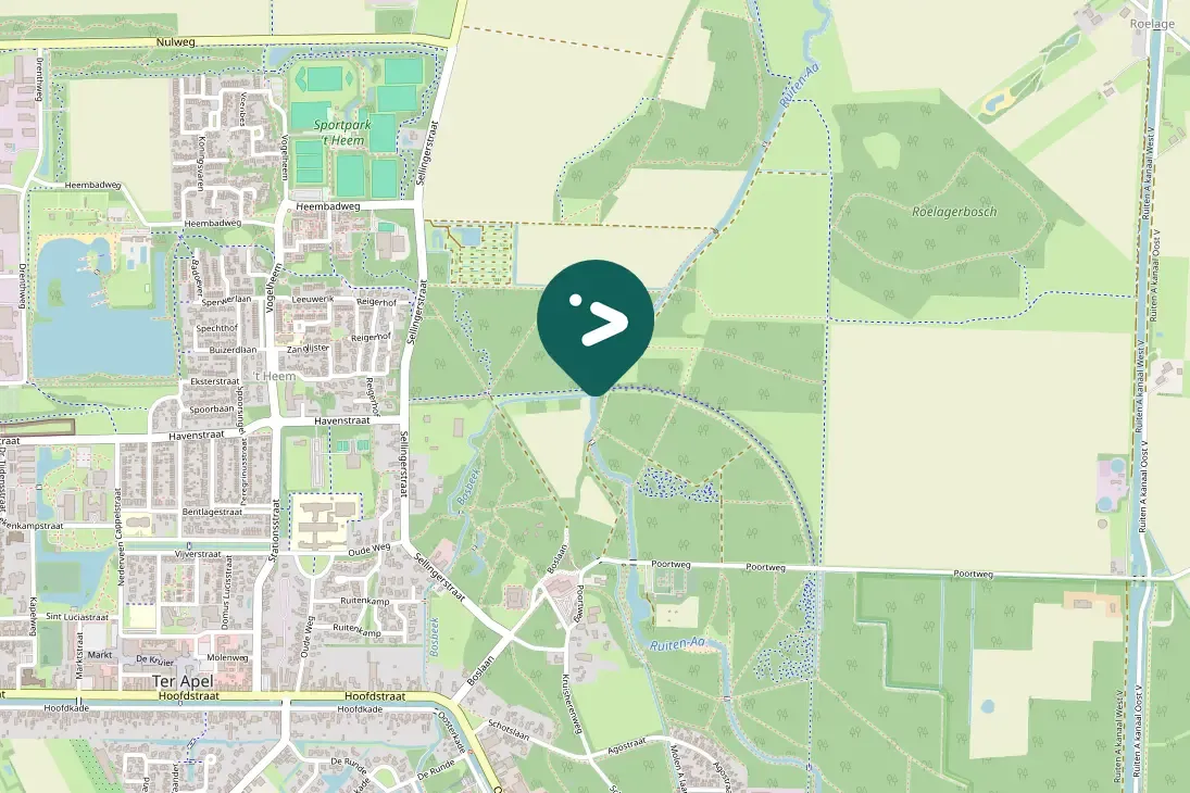 Spotted Eurasian Bittern