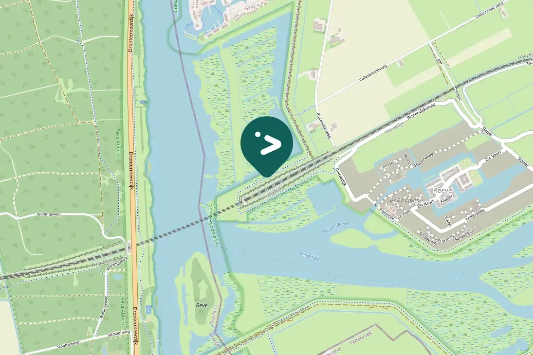 Spotted Reed Bunting