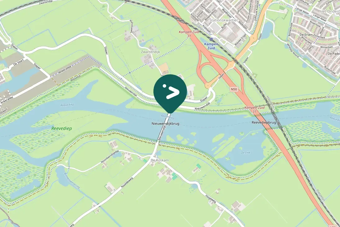 Spotted Northern Lapwing