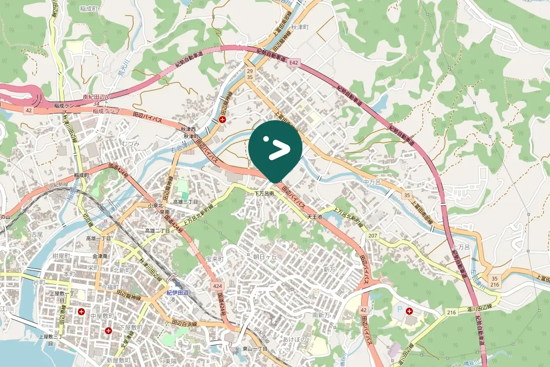 Spotted Japanese Wagtail