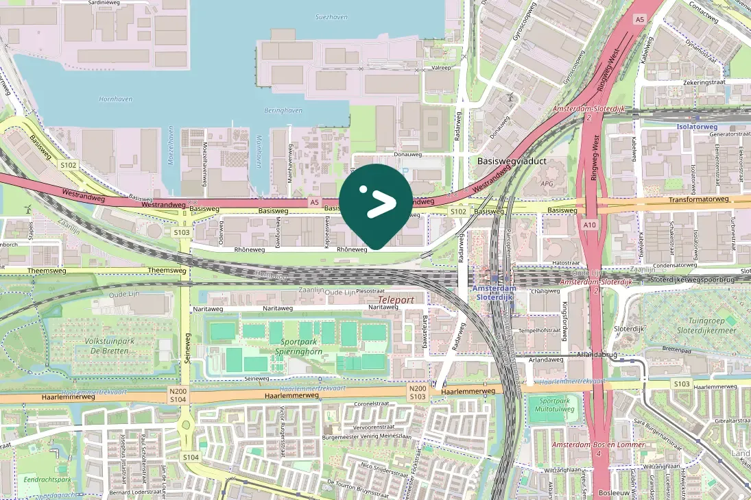 Spotted Eurasian Oystercatcher